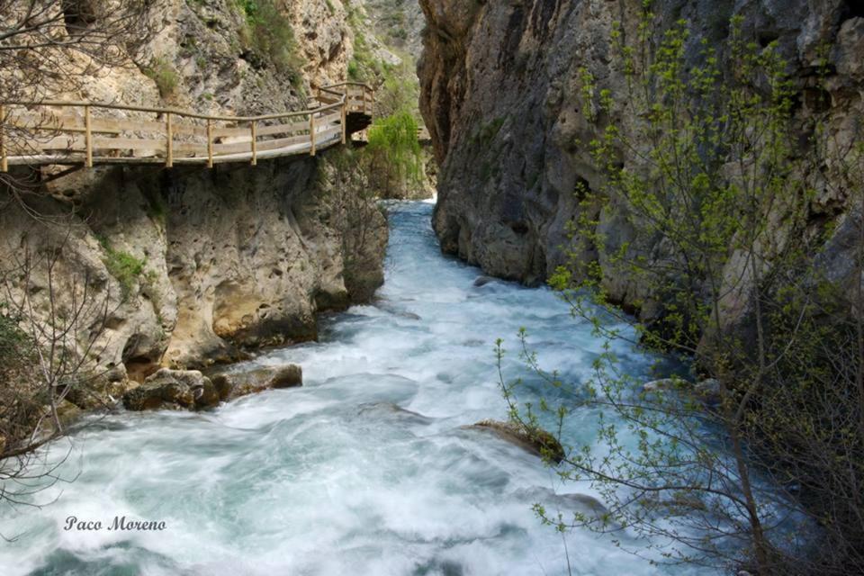 Alojamiento Rural, Cueva De La Abuela Cuevas del Campo Eksteriør bilde